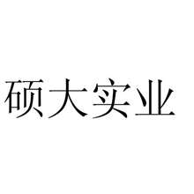 硕大实业