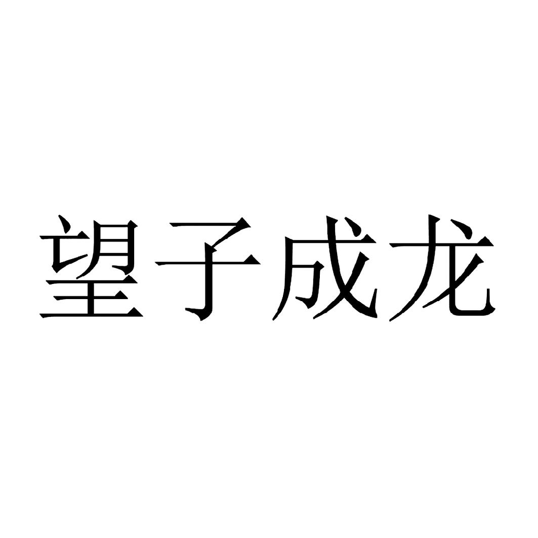 望子成龙 商标公告