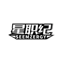 星职纪 SEEMZERGY