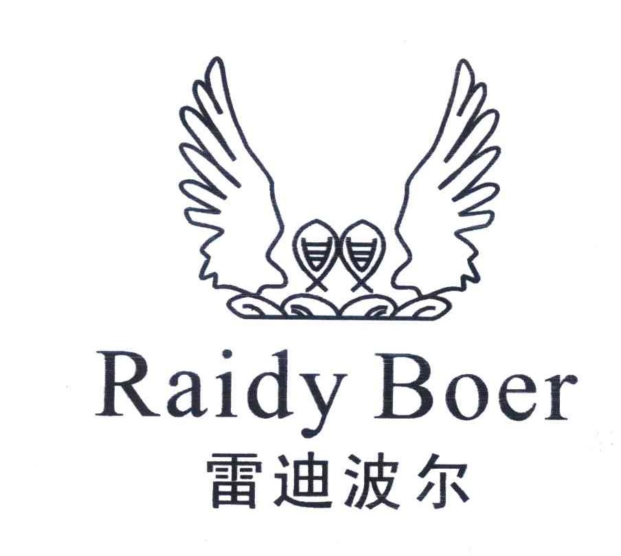 雷迪波尔raidyboer